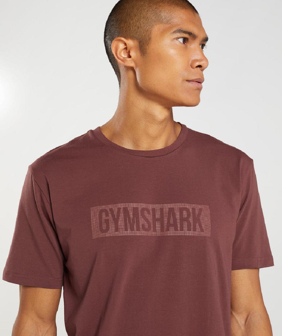 T Shirts Męskie Gymshark Block Różowe Brązowe | PL 3798HAP